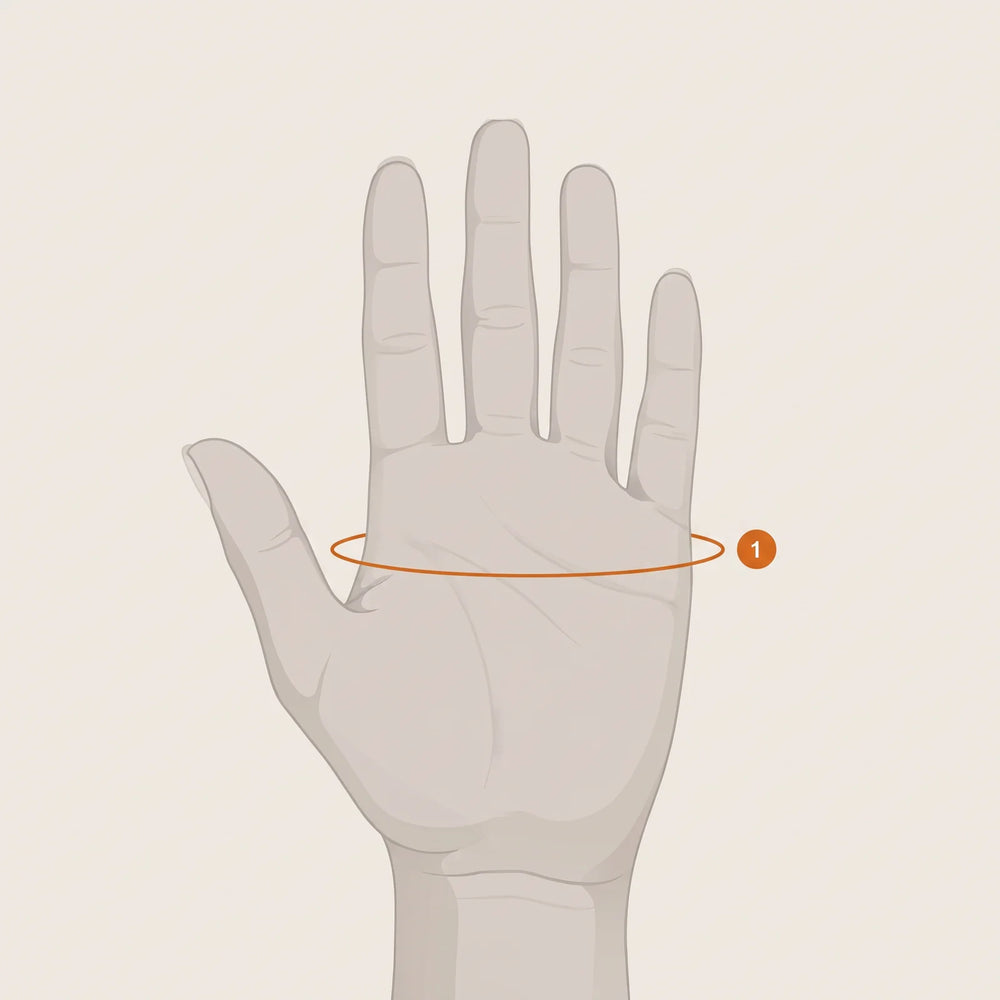 Hand with measuring line 1: palm circumference just below the knuckles